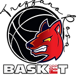 logo_rosa_basket.png