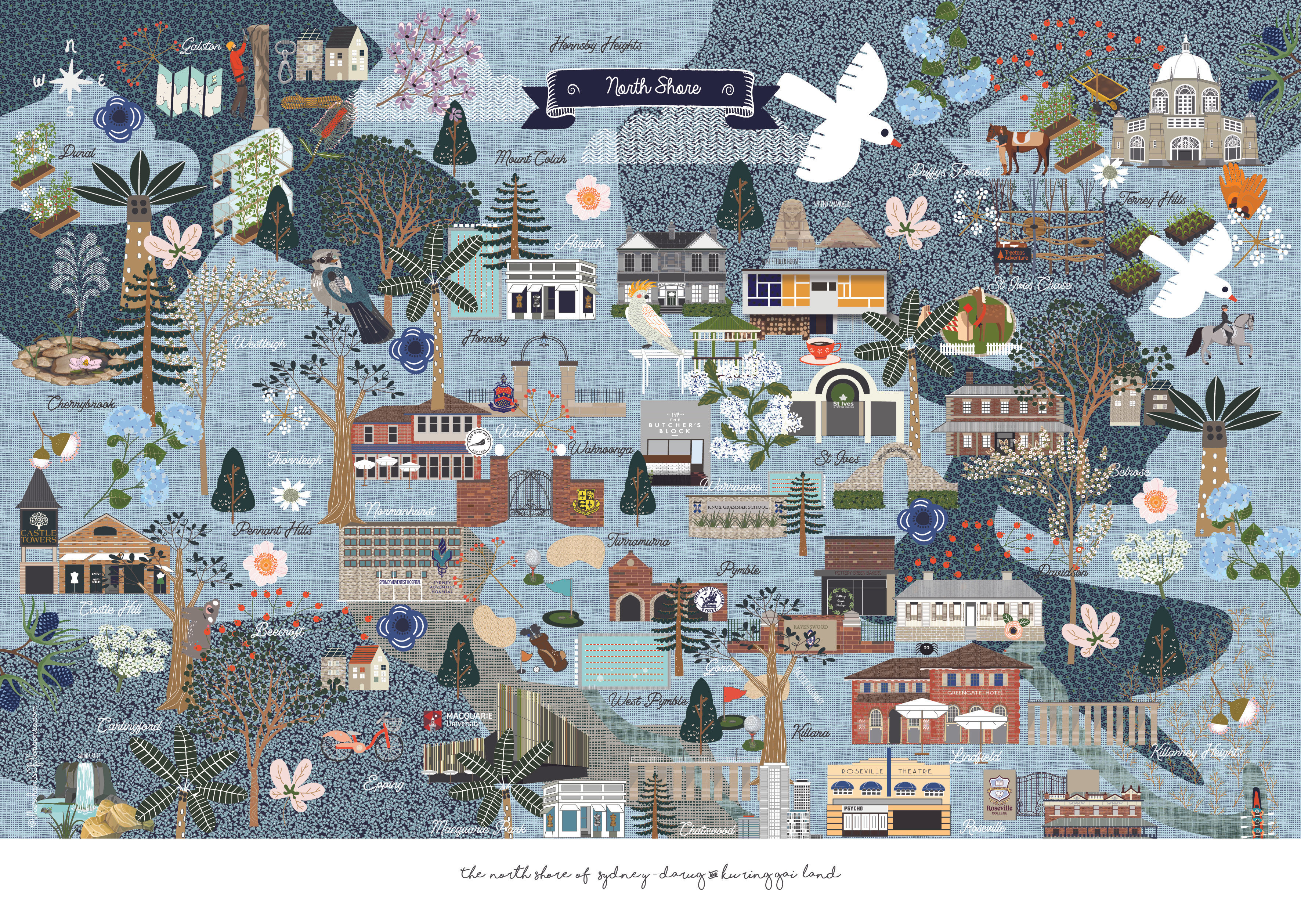 Upper North Shore Illustrated Map: Coffee in Wahroonga Park