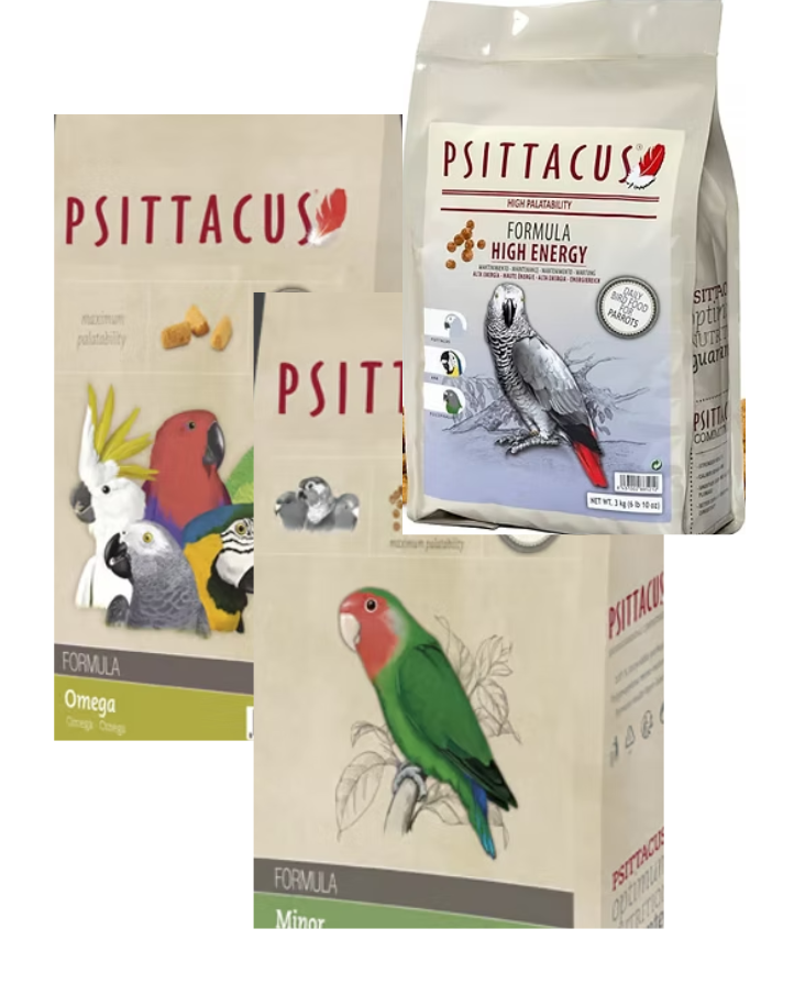 Bird Food 
