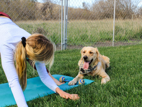 What are the benefits of Dog Yoga? The new “Namaste”