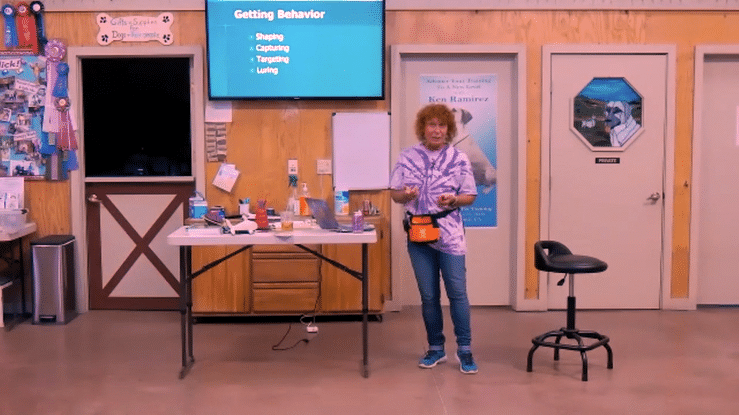 Puppy Preschool Orientation-9-20.gif