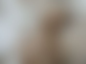 Homemade Doggie Flea Shampoos