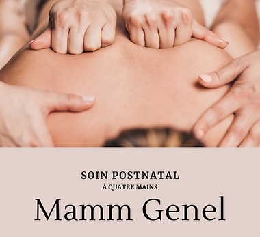 Mamm Genel .png