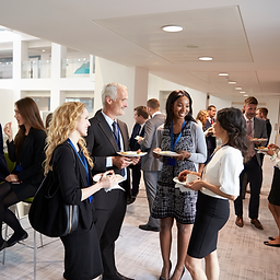 PLATINUM SPONSOR (9).png