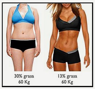 Resultado de imagen para musculo y grasa