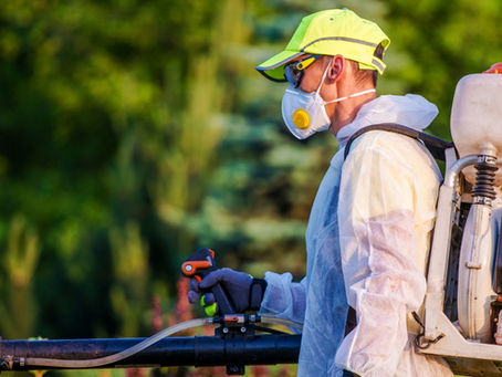 Mosquito Control in Overland Park