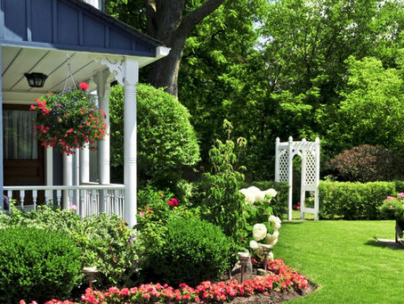 Why Do Some Homes Have Worse Mosquito Problems?