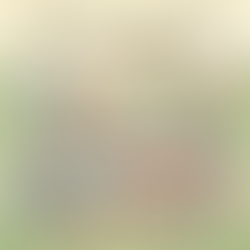 Brand pickleball gear