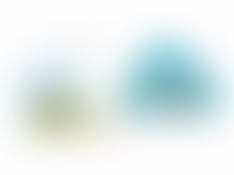 Permanent life offers lifetime protection.