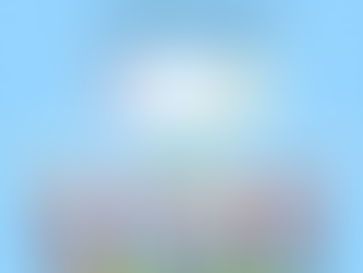 Life insurance for obesity