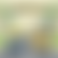 Local Partners Matter