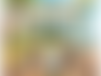 Plan merchandise strategically