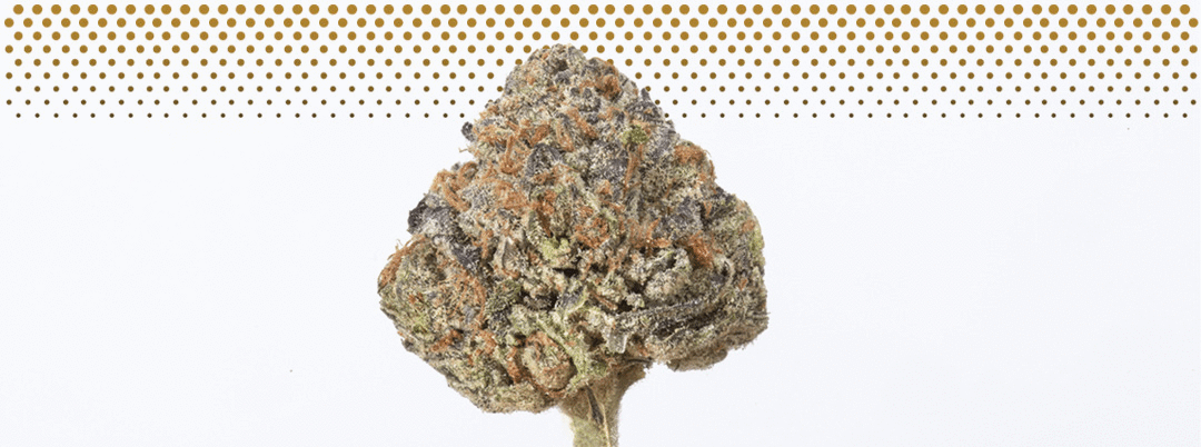 Sapphire OG 360.gif