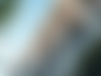 Enhancing Real Estate Projects with 3D Visualization