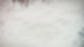 BacktoBasics_Background_2.jpg