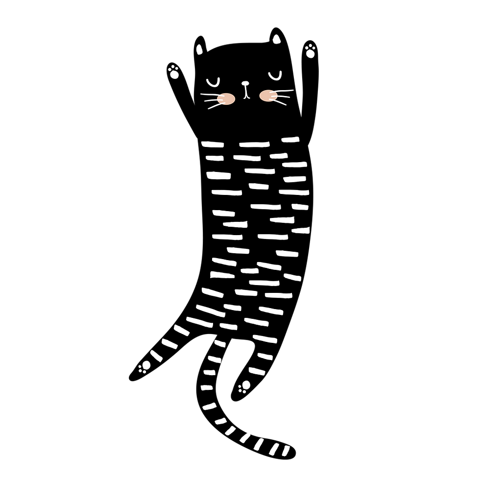 Cat 1_3x.png