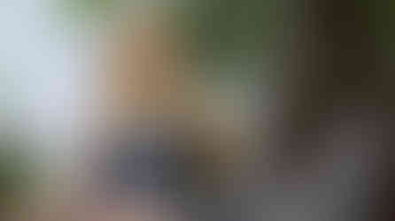 Screenshot 2024-10-13 at 5.35.41 PM
