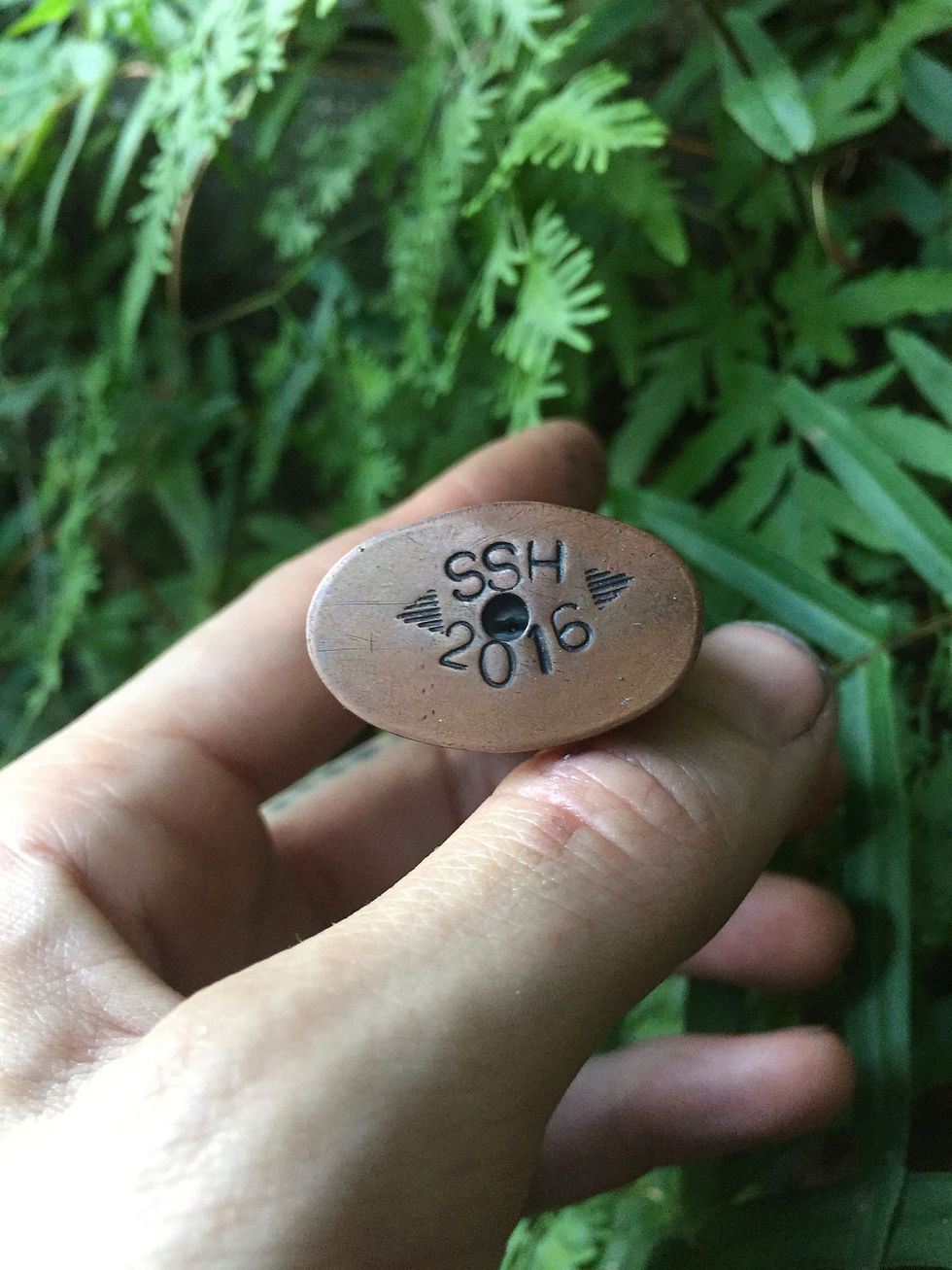 Thumbnail: The Spell of the Swamp Lighter Holster (OOAK)