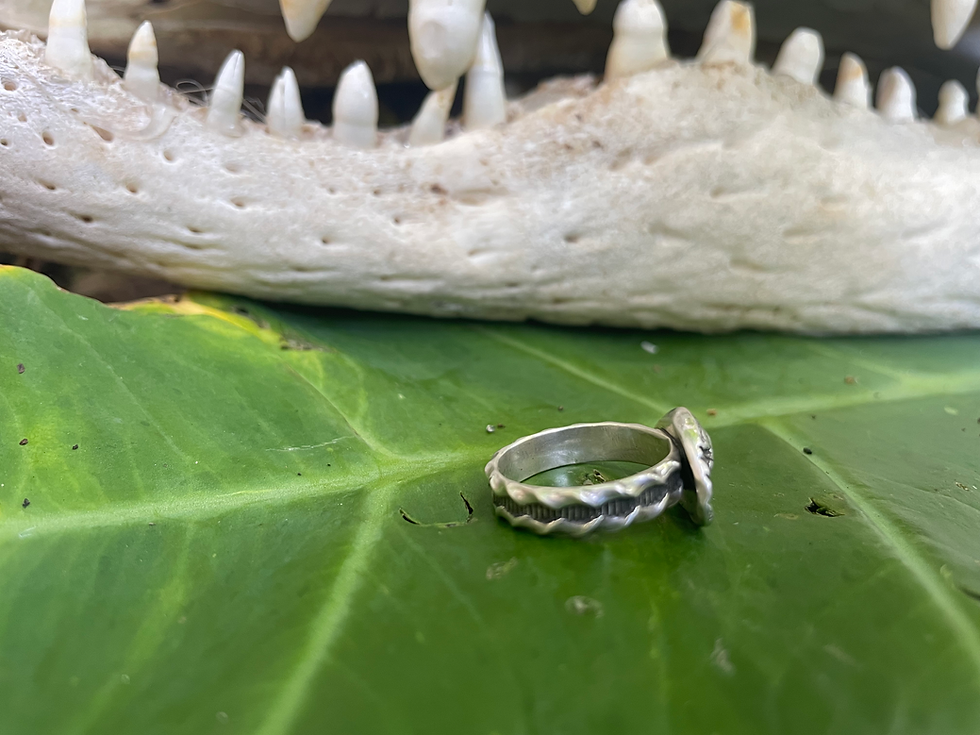 Thumbnail: The (Small) Sobek Ring