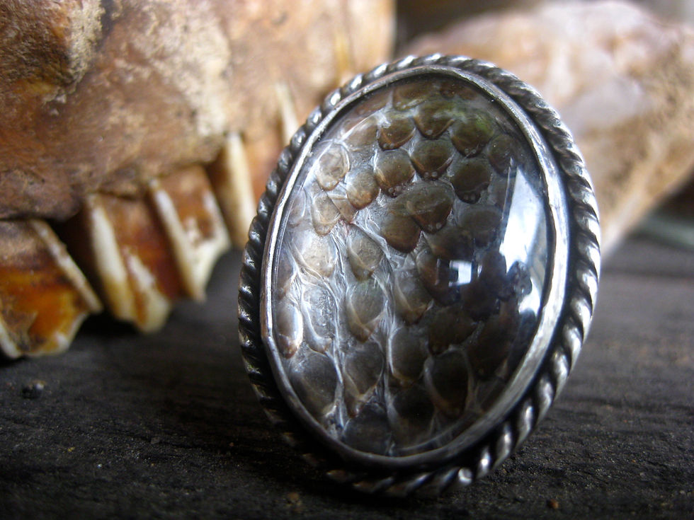 Thumbnail: The Python Protection Ring - LARGE