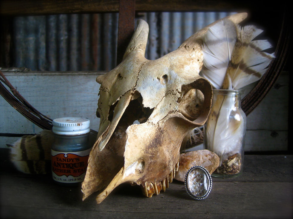 Thumbnail: The Python Protection Ring - LARGE