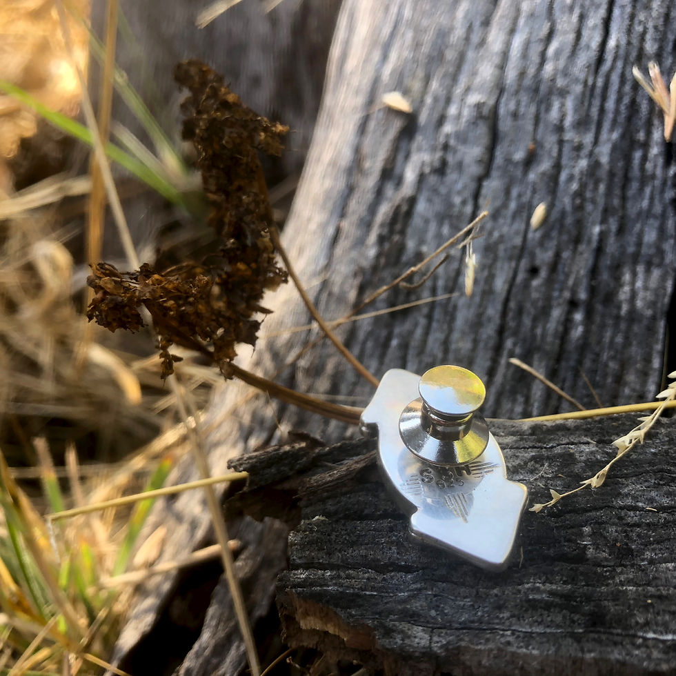 Thumbnail: The Eye of the Serpent Pin