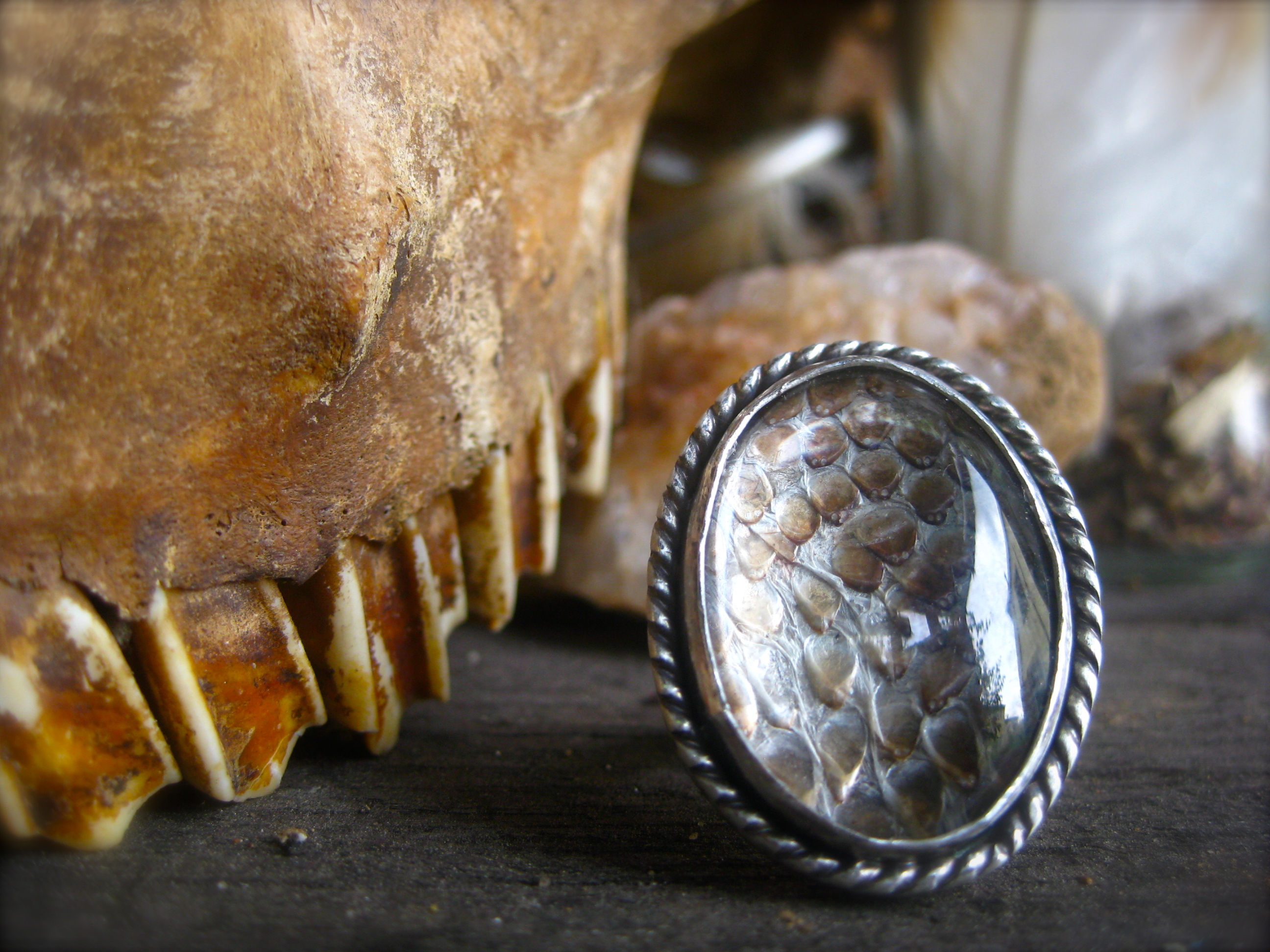 The Python Protection Ring - LARGE