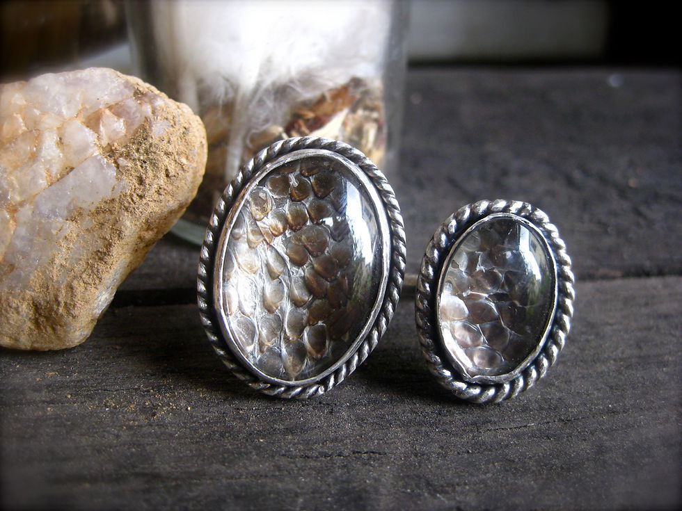 Thumbnail: The Python Protection Ring - LARGE