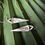 Thumbnail: The Cypress Spear Earrings
