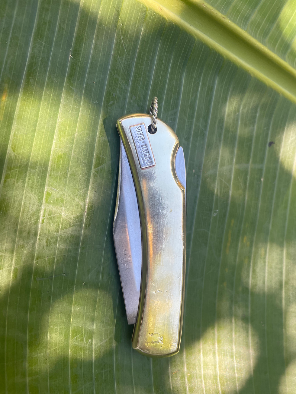 Thumbnail: The Serpent Stabber