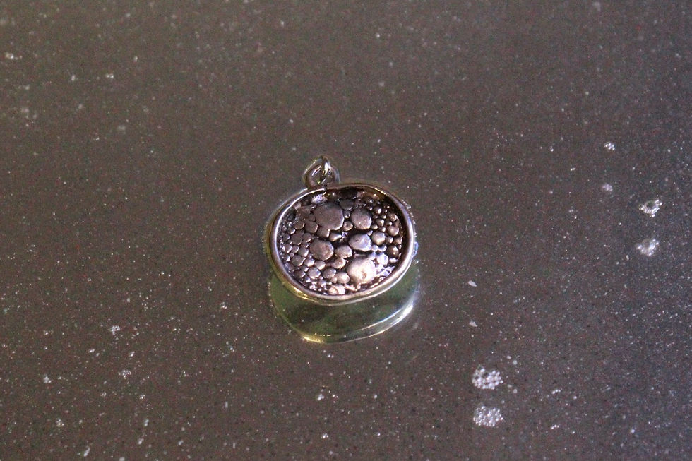 Thumbnail: The Stingray Coin Charm