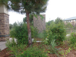 santee6