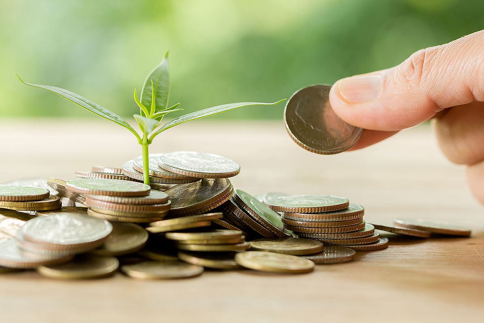 Invertir-requiere-paciencia-y-toma-de-decisiones-informadas