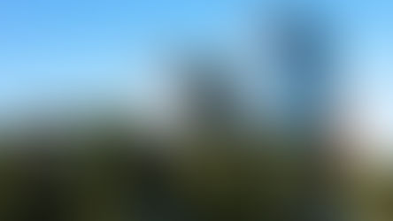 Inversion en propiedades_monific