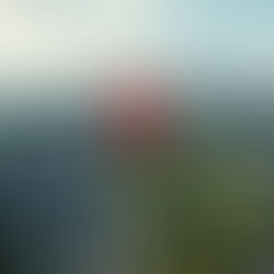 Inversión en Ciudades Secundarias: La Oportunidad Silenciosa de 2026