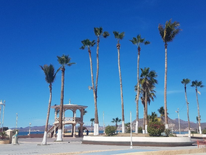 Informe sobre invertir en bienes raíces en La Paz, Baja California Sur