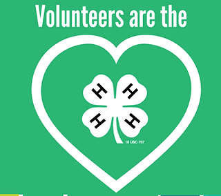 volunteers.png