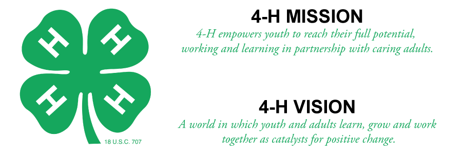 Mission and Vision