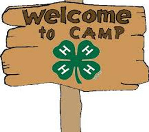 4-H camp.jpg