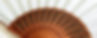 20190521_083352_edited.jpg