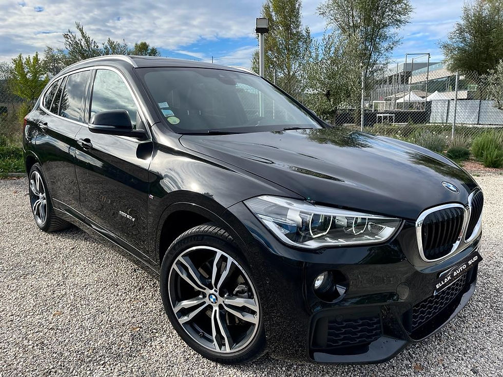 Bmw x1 (f48) 20d xdrive 190 ch msport bva8