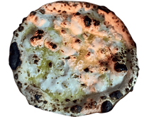 Untitled design (34).png
