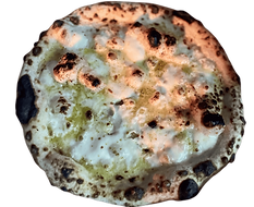 Untitled design (34).png