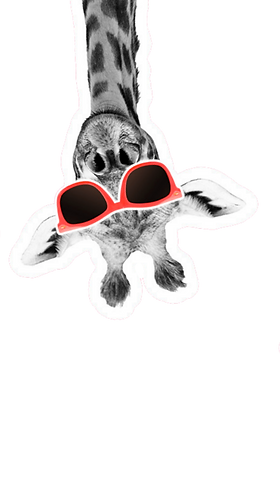 Untitled design (52).png