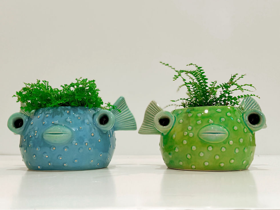 Thumbnail: Pufferfish Planter
