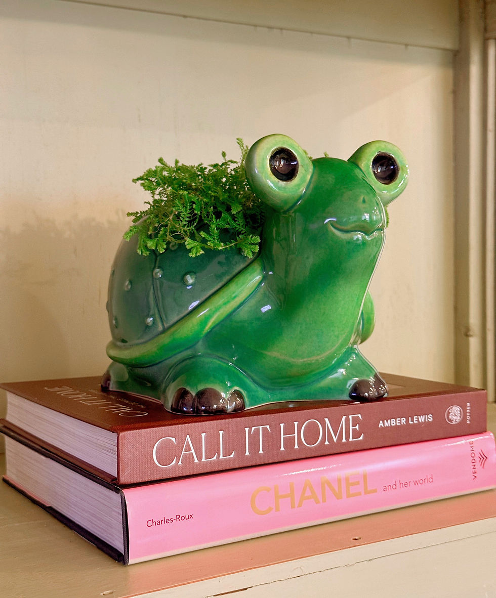 Thumbnail: Snail Planter