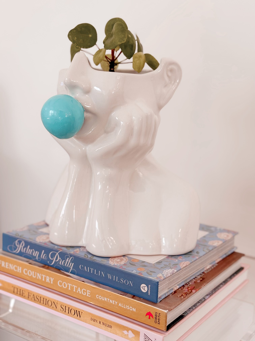 Miniatura: White bust planter with blue gum