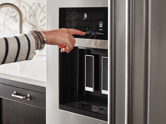 Ice Maker Water Filter