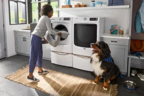 professional washer repair Palm Harbor