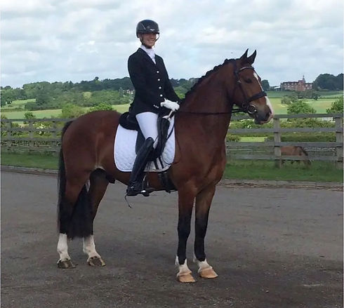 Sports Pony Machno Ronaldo Dressage